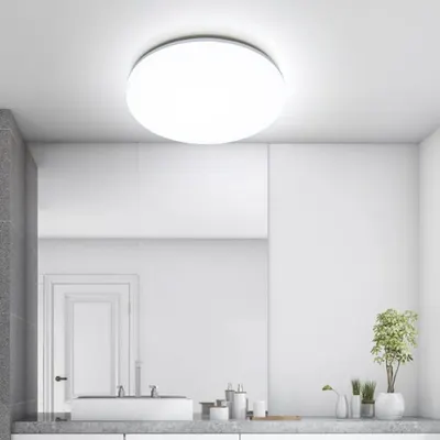 25CM 18W Ceiling Light Indoor Mount Ceiling Lamp Silver Border Natural White