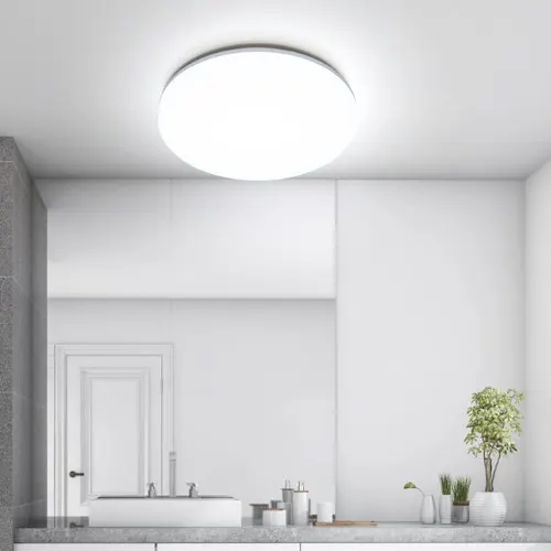 25CM 18W Ceiling Light Indoor Mount Ceiling Lamp Silver Border Natural White